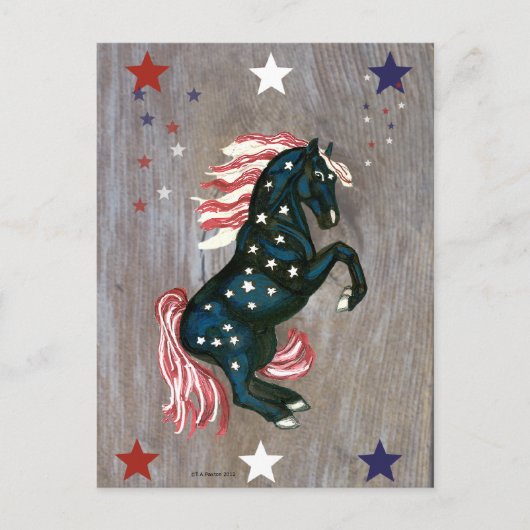 Carte postale Stallion Étoiles et rayures (Devant)