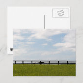 Carte Postale Stallion Farm (Devant / Derrière)