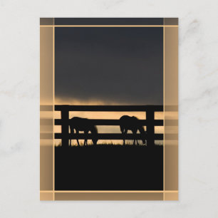 Carte Postale Stallion Farm Vertical