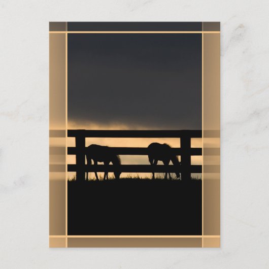 Carte Postale Stallion Farm Vertical (Devant)