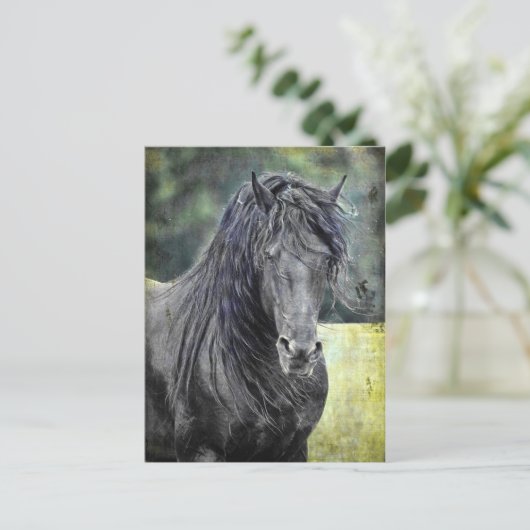Carte Postale Stallion friésienne (Debout devant)