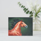 Carte Postale Stallion Lusitano de Blood Bay (Debout devant)