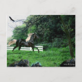 Carte Postale Stallion noir (Devant)