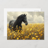 Carte Postale Stallion noir avec Fleurs sauvages jaunes (Devant / Derrière)