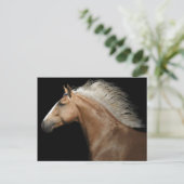 Carte Postale Stallion Palomino (Debout devant)