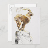Carte Postale Stambecco d'Oro 2005 (Devant / Derrière)