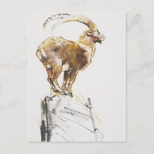 Carte Postale Stambecco d'Oro 2005 (Devant)