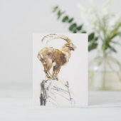 Carte Postale Stambecco d'Oro 2005 (Debout devant)