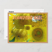 CARTE POSTALE STAMFORD CT ABEILLES (Devant / Derrière)