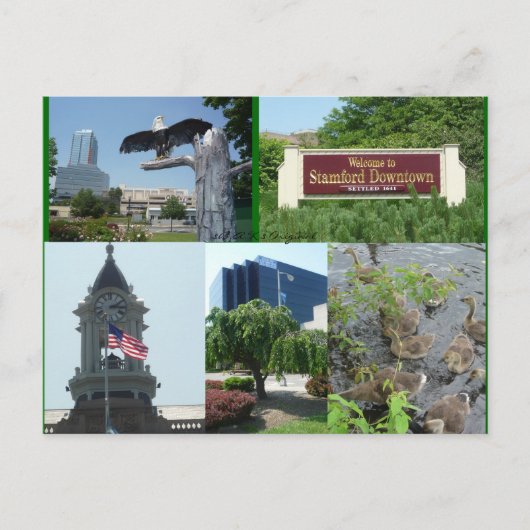 Carte postale Stamford Downtown Centre (Devant)