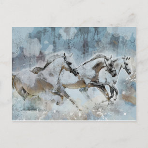 Carte Postale Stampede de Cheval sauvage Ouest