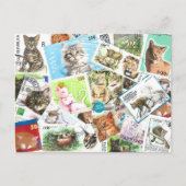 Carte postale Stampes de chats internationales (Devant)