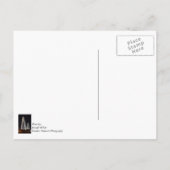 Carte Postale Stan Musial Veterans Bridge (Dos)