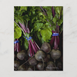 Carte Postale stand du marché des agriculteurs pour divers produ