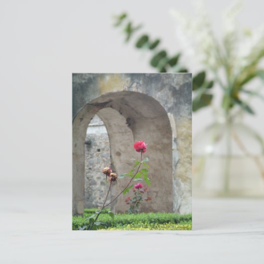 Carte postale Stand Tall (Debout devant)