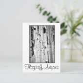 Carte Postale Stand tall Aspen's Flagstaff (Debout devant)