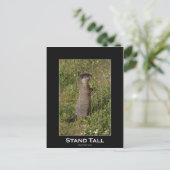 Carte postale Stand Tall Marmot (Debout devant)