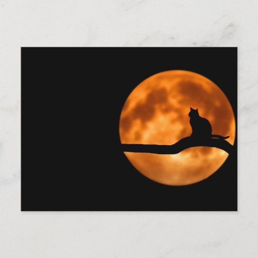 Carte postale standard (Devant)