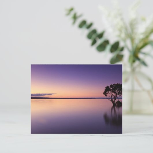 Carte postale standard (Debout devant)