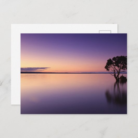 Carte postale standard (Devant / Derrière)