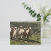 Carte postale standard (Debout devant)