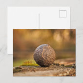 Carte postale standard (Devant / Derrière)