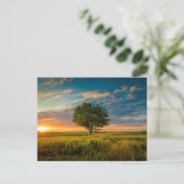 Carte postale standard (Debout devant)