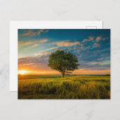 Carte postale standard (Devant / Derrière)