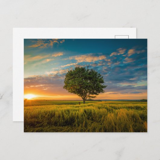 Carte postale standard (Devant / Derrière)