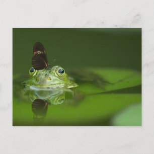 Carte postale standard