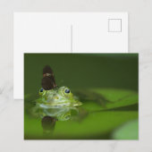 Carte postale standard (Devant / Derrière)