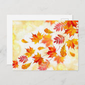 Carte postale standard (Devant / Derrière)