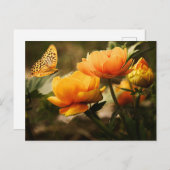 Carte postale standard (Devant / Derrière)