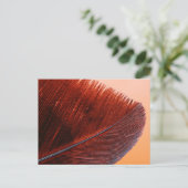 Carte postale standard (Debout devant)