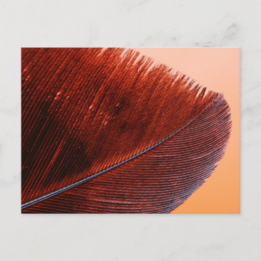 Carte postale standard (Devant)