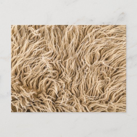 Carte postale standard (Devant)