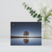 Carte postale standard (Debout devant)
