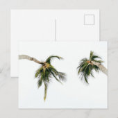 Carte postale standard (Devant / Derrière)