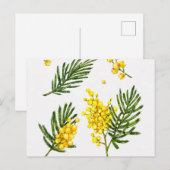 Carte postale standard (Devant / Derrière)