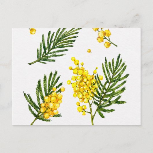Carte postale standard (Devant)