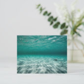 Carte postale standard (Debout devant)