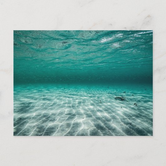Carte postale standard (Devant)
