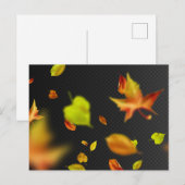 Carte postale standard (Devant / Derrière)