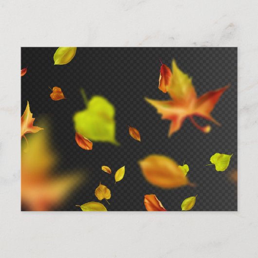 Carte postale standard (Devant)