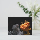 Carte postale standard (Debout devant)