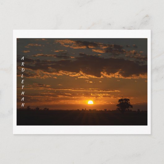 Carte postale standard (Devant)