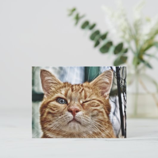 Carte postale standard (Debout devant)