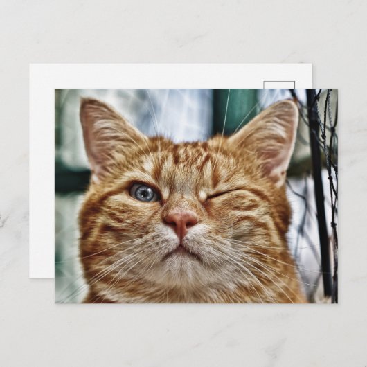 Carte postale standard (Devant / Derrière)