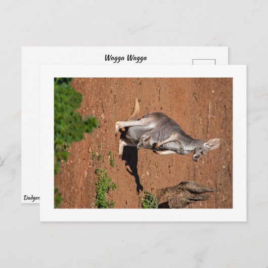 Carte postale standard (Devant / Derrière)