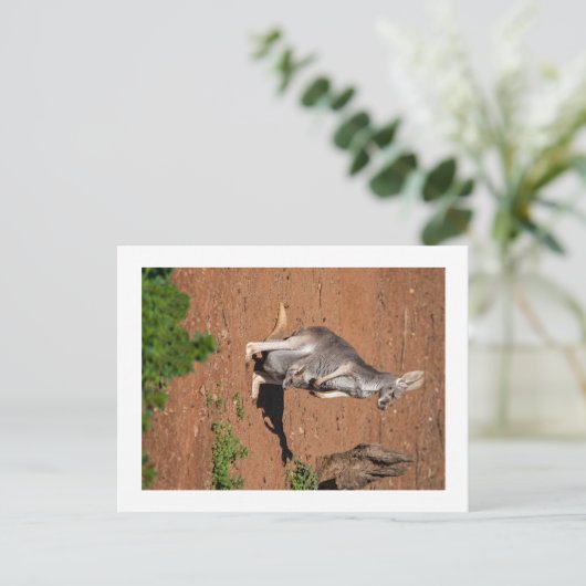 Carte postale standard (Debout devant)